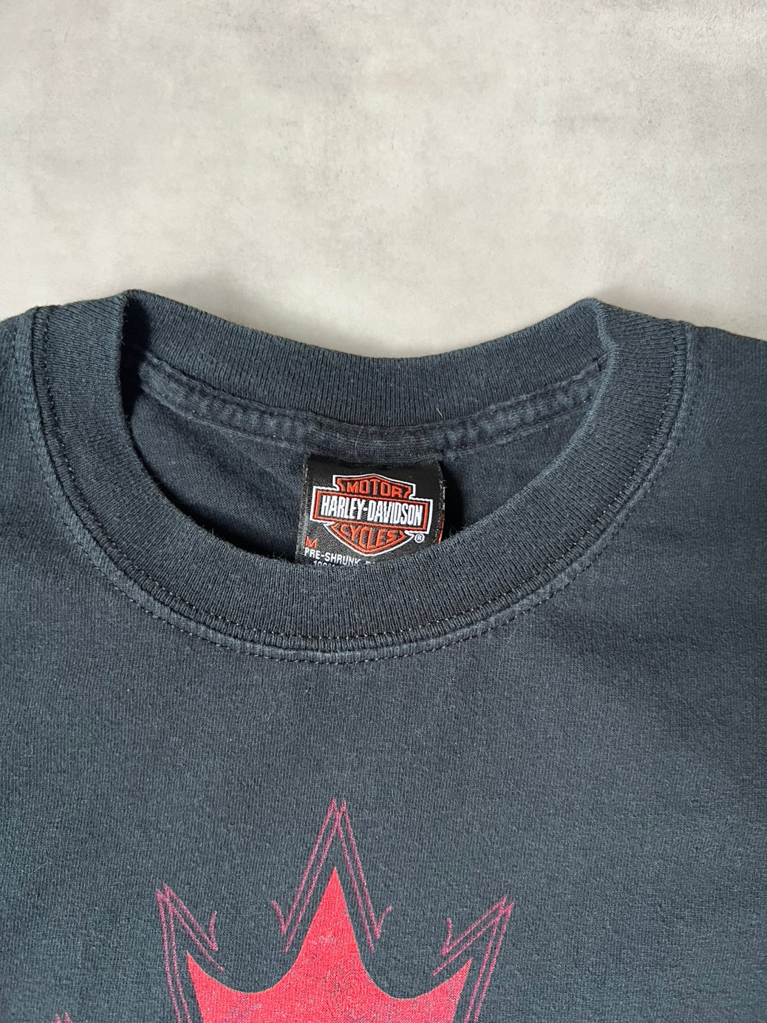 【VINTAGE】Harley-Davidson "Clare's Niagara Falls" Graphic T-Shirt / Faded Black